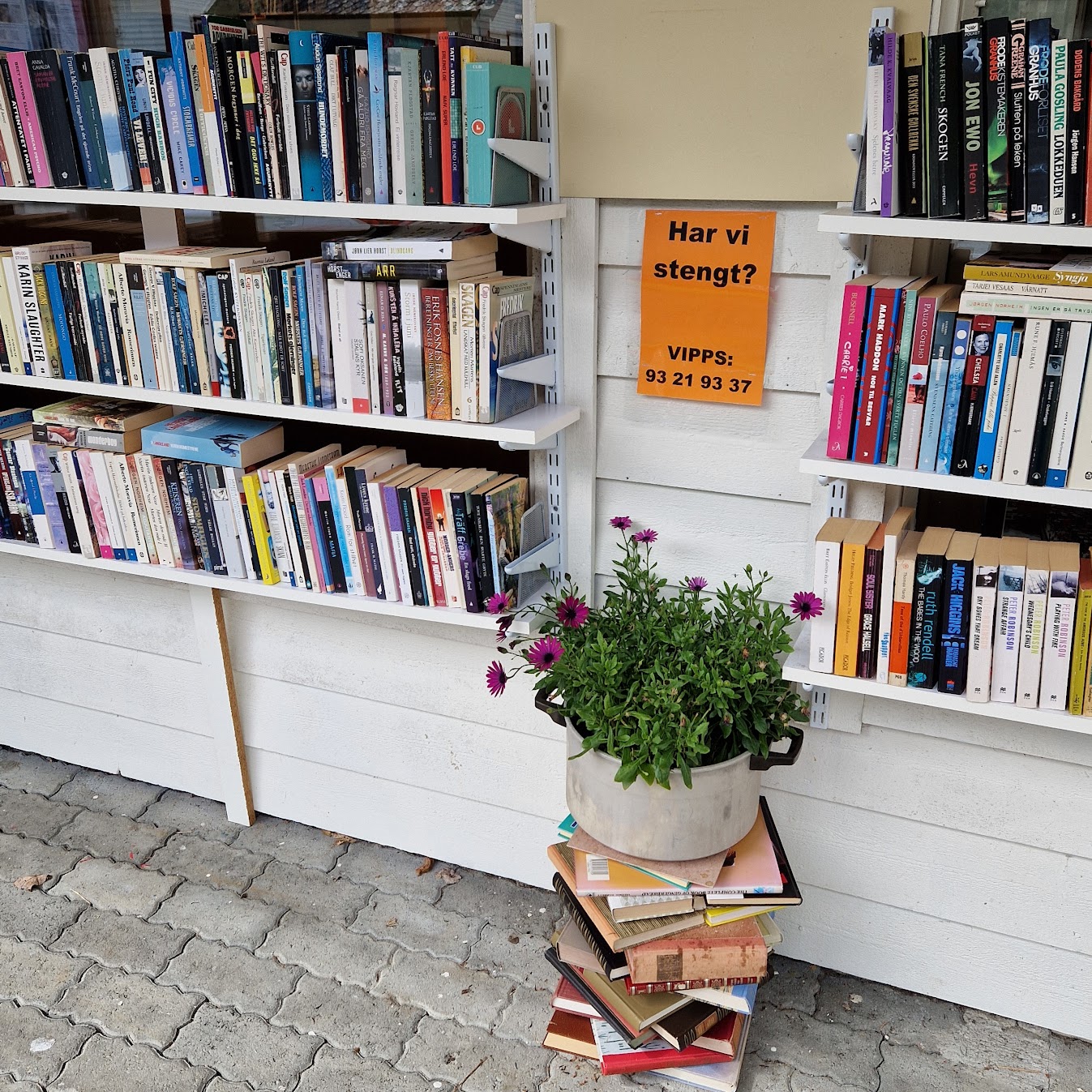 Book town visit in Fjærland (Fjaerland)!